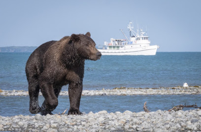 Geographic Marine Expeditions (GMX) Bear Viewing