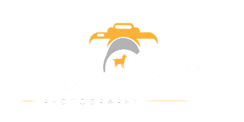 Golden Goat Photography