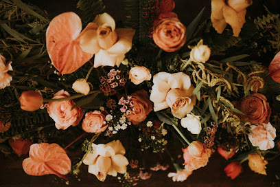Hailey Stark Photography