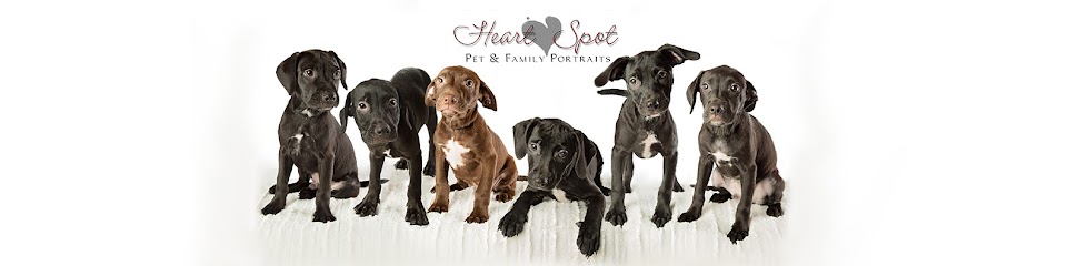 Heart Spot Pet & Family Portraits