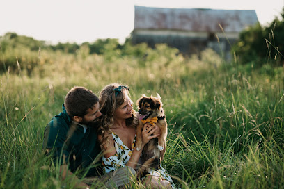 Heather Colley Photography | Family + Pet Photographer