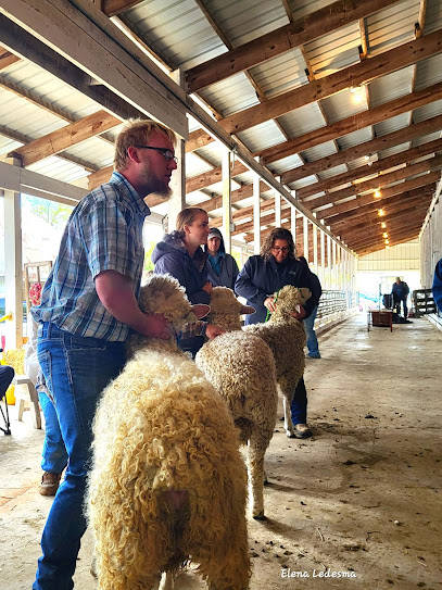 Hillsdale County Fair