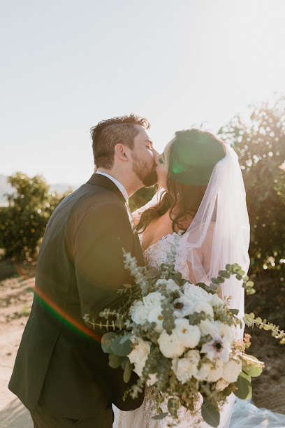 Holly Castillo Photography