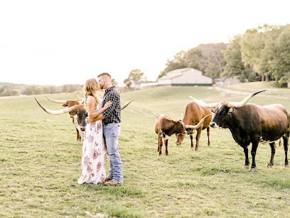 Holly Clark Photography (Ann Arbor Wedding Photographer)