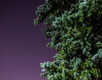 Holy Stash Of Photos