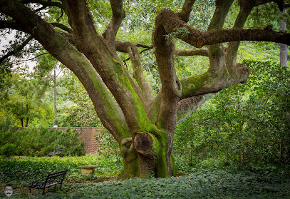 Hopelands Gardens