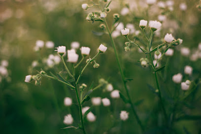 IM Photography