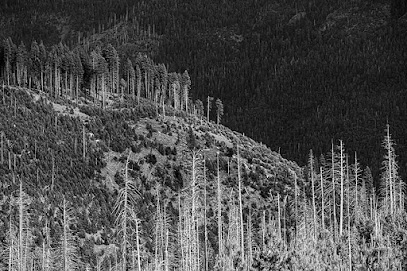 Image West Photography