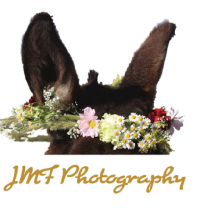 JMF Photography