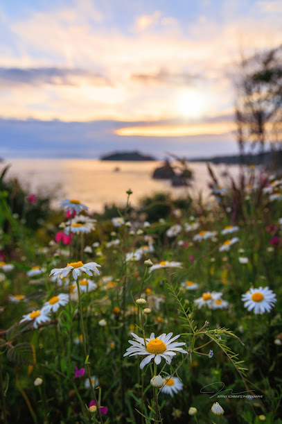 Jeffrey Schwartz Photography