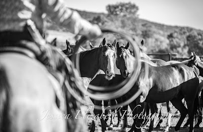 Jessica Elizabeth Photography