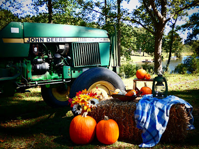 Joni Musser Photography