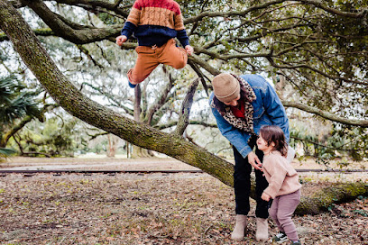 Julie Verlinden Photography