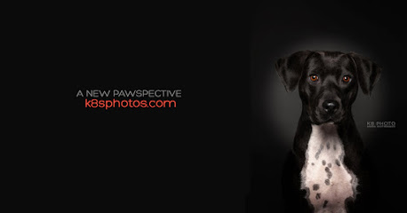 K8 Photo