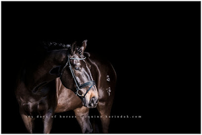 Karinda K Equine Photography