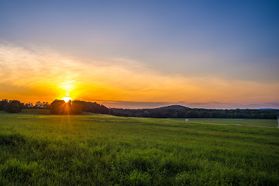 Kingston Downs