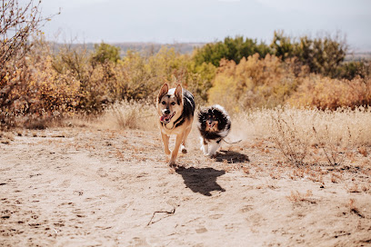 Krista Kearse Photography