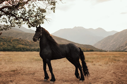 Kye Hart Photography