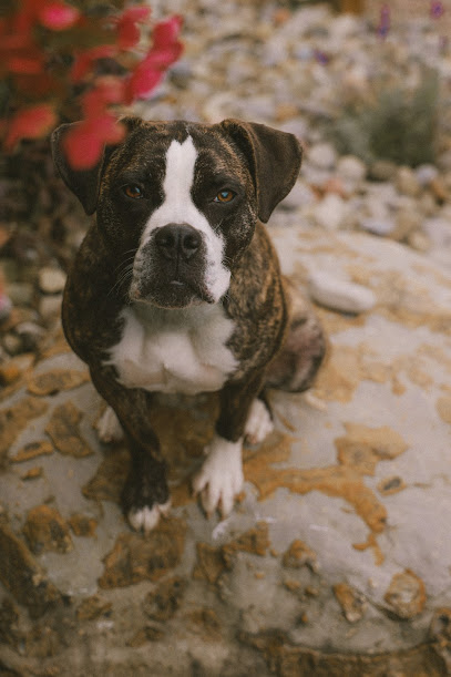 Kylea Grace Photography