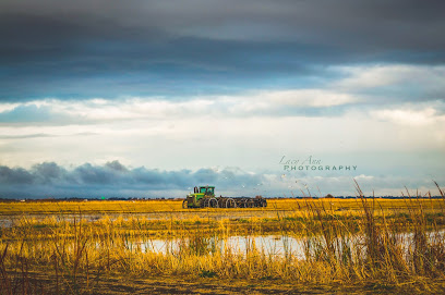 Lacy Ann Photography