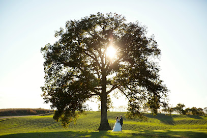 Laura Schmitt Photography