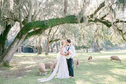 Leigh Hayward Photography