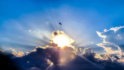 Life Evolution and Photography LLC