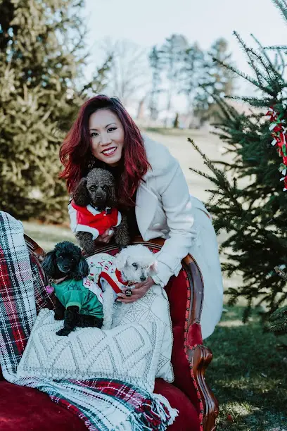 Little Butterfly Photography