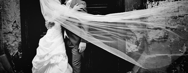Lynn Barsigian Photography