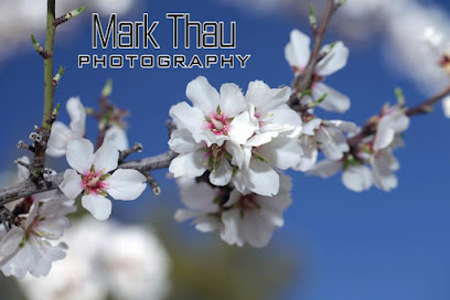 Mark Thau Photography