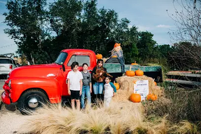 Melissa Mckinney Photography