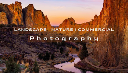 Michelle Adams Photography