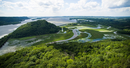Mike Makes