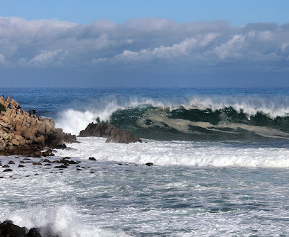 Monterey Bay Photo Tours