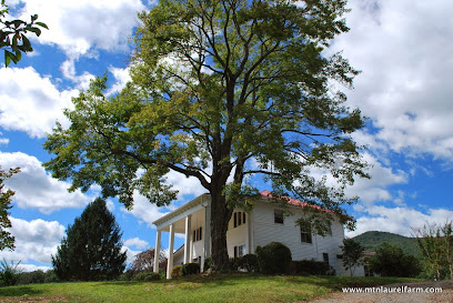 Mountain Laurel Farm