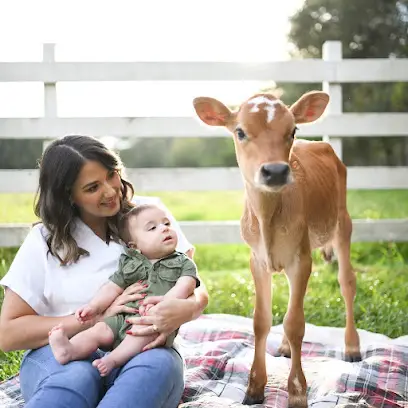 NK Photography & Design