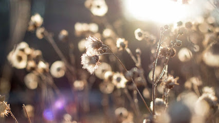 Nichelle Howell Photography