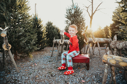 Oliver's Twist Photography