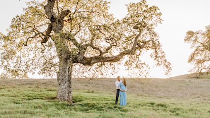 Paulina Perrucci Photography LLC