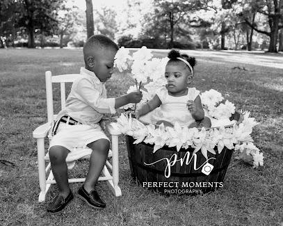 Perfect Moments Photography