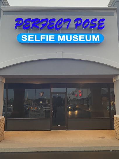 Perfect Pose Selfie Museum