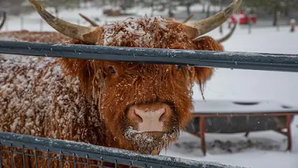 Picture Perfect Ranch