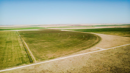 Pinnacle Drone Service