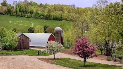 Pioneer Creek Farm