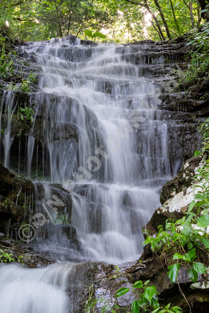 Q/N photography