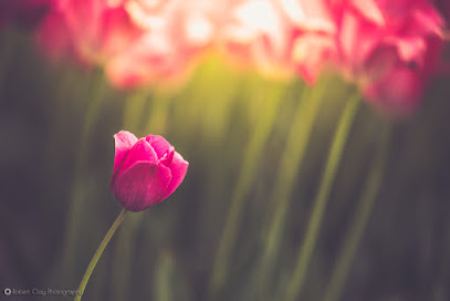Robert Clay Photography