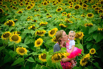 Rockwall Photography