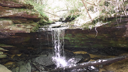 Russell's Photography