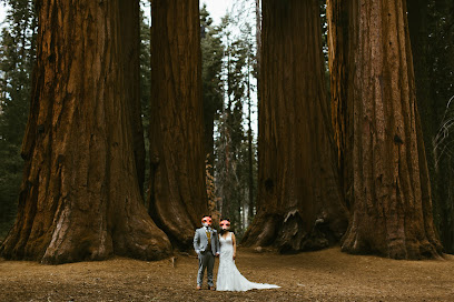 Sequoia Weddings - All Inclusive Sequoia Weddings & Elopements