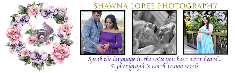 Shawna Loree Photography